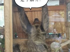 -灵玲国际马戏城