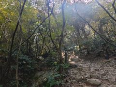 -宝界山林公园