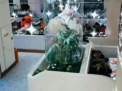 -小董哥烤串·爆汁大油边(故宫店)