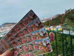 -西霞口神雕山野生动物世界