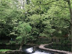 -阿哈湖国家湿地公园