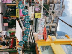 -猫咪博物馆(顶澳仔猫街店)