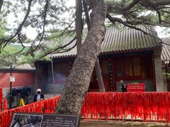 -红螺寺