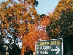 -云南野生动物园