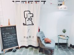 -阿狗圆子