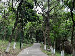-燕晗山郊野公园