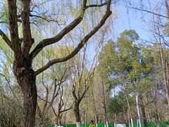 -天鹅湖体育公园