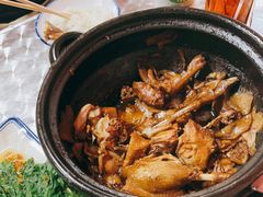 -百家春好德来姜母鸭