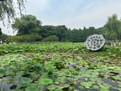 -玄武湖景区-情侣园游乐场