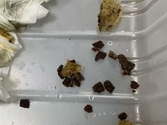 -申普宠物医院·心脏介入·心血管微创(总院)
