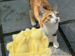 -终南山南五台景区