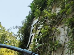 -瓦舍茶馆(聚源路店)