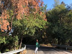 -青龙山国家森林公园