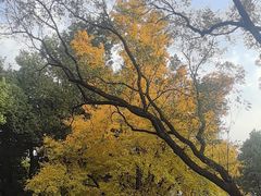 -汇龙潭
