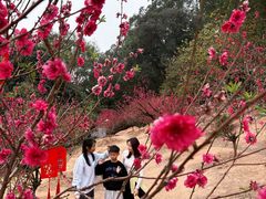 -南国桃园旅游度假区