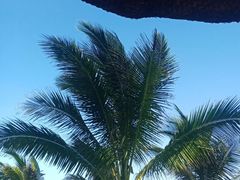 -三亚海棠湾万丽度假酒店