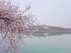 -颐和园