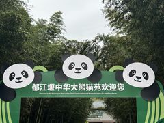 -都江堰中华大熊猫苑