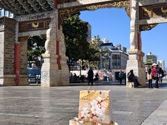 -顺城金记卤鸡·清真