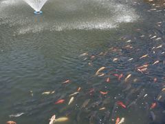 -水云涧温泉滑雪度假区