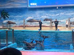 -福州罗源湾海洋世界旅游区