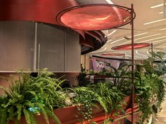 -红雀围·海鲜火锅(陆家嘴中心店)