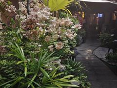 -王捌小院(红花坡店)