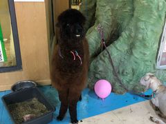 -嘉文梦想世界(SM天津滨海城市广场店)