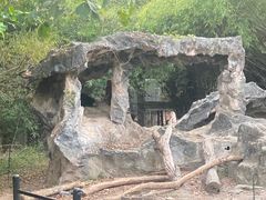 -清迈夜间动物园