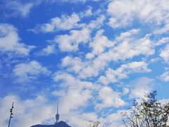 -梧桐山风景名胜区