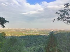 -北京西山国家森林公园