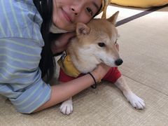 -逗柴咖啡屋·狗咖猫咖宠物桌游
