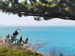 -养马岛旅游度假区