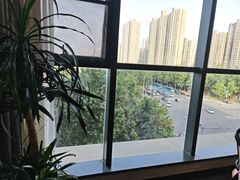 -鸽子侯·家宴·平价海鲜(绿地店)