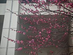 -温州博物馆