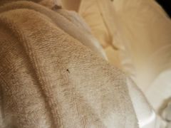 -广州永庆坊瞻云精选酒店