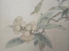 -八哥美术·成人美术画室(总校区)