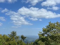 -莫干山风景区