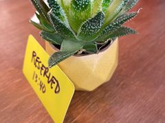 -Mesa Madre梅萨妈妈·Bintana(国贸店)