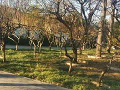 -玲珑塔公园