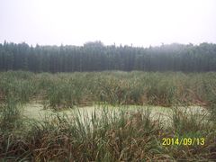 -昆山城市生态森林公园