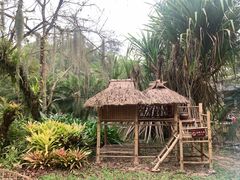 -中国科学院西双版纳热带植物园