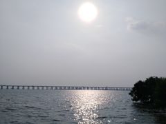 -宝安西湾红树林湿地公园