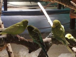 -酷嗒动物文化乐园(cutezoo西溪乐天城店)