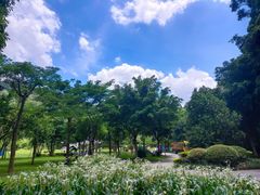 -火炉山森林公园