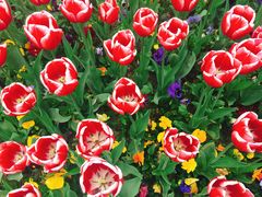 -无锡市市民中心