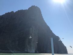 -长岛万鸟岛
