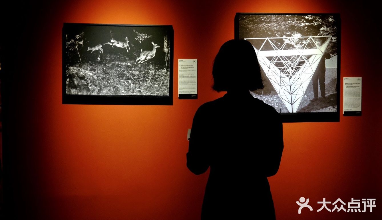 国家地理金典影像大展