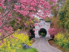 -南汇桃花村