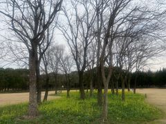 -上海大学(宝山校区)